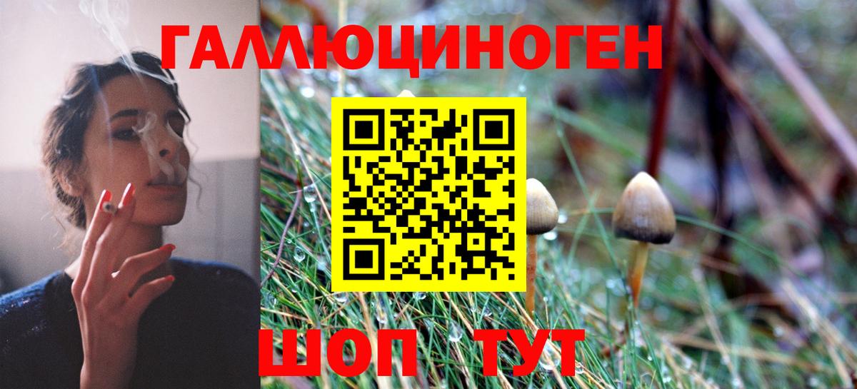 Галлюциногенные грибы MAGIC MUSHROOMS Хасавюрт